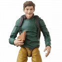 Tegevuskujud Hasbro Legends Series Spider-Man 60th Anniversary Peter Parker & Ned Leeds