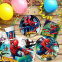 Party supply set Spiderman 66 Pieces