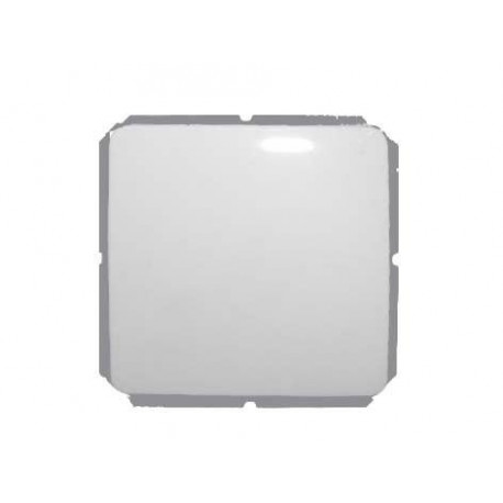 SWITCH WITH FRAME, WITHOUT FRAME