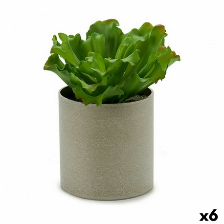 Decorative Plant Ibergarden YC181588 YC181588 20 x 25 x 20 cm (6 Units)