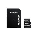Memory Card GOODRAM microSD SD 256GB CLASS 10 UHS I 100MB/s with adapter