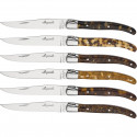 Jean Dubost Laguiole      6 pcs. Steak Knives Set Acrylic