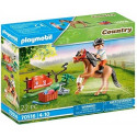 Playmobil collecting pony " Connemara " - 70516
