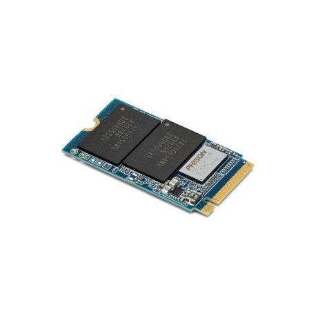 OWC SSD 1TB 2.7 / 1.0 Aura P13 M.2 OWC - Compatible with PCs and Accelsior 1M2
