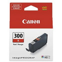 Canon Ink RD PFI-300