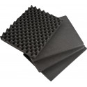 BW OUTDOOR CASES TYPE 6600 BLK RPD (DIVIDER SYSTEM)