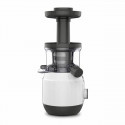 Electric Juicer Moulinex ZU150110 Black 150 W