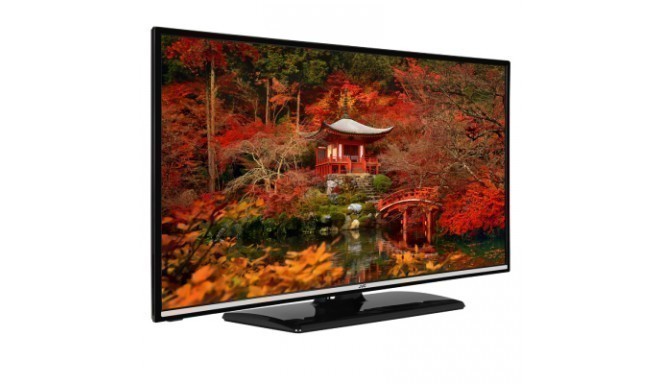 JVC TV 24" HD LED LT24VH30K