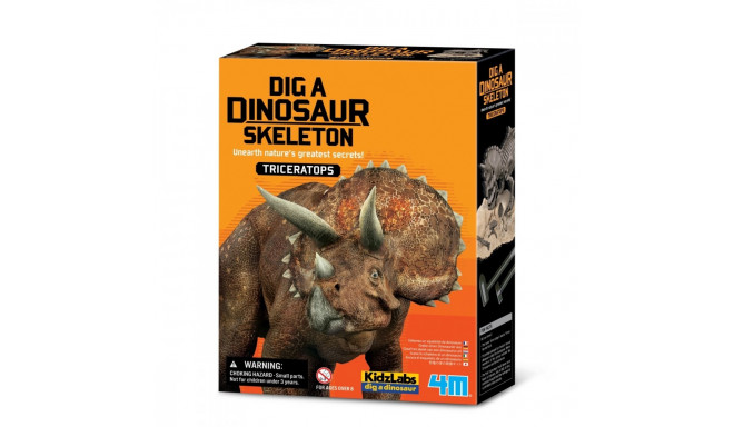 Excavation - Triceratops
