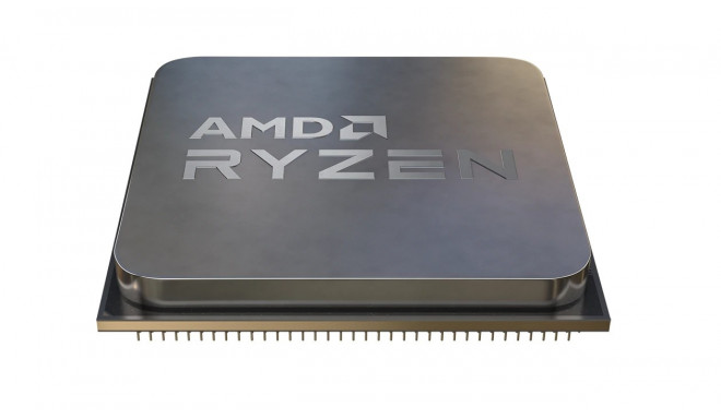 AMD Ryzen 5 5500 processor 3.6 GHz 16 MB L3 Tray