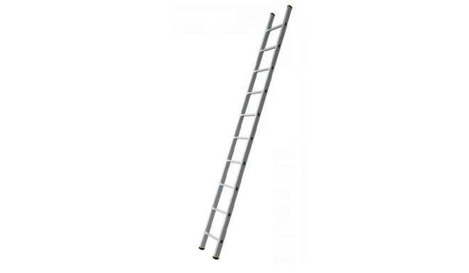 LADDERS 1X10 FORTE TOOLS 8110