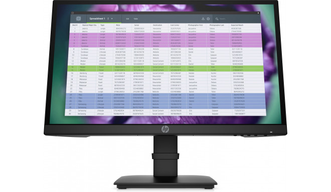 HP P22 G4 22 FHD Monitor