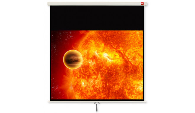 Avtek Video 200 projection screen 4:3