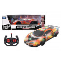 Car racing R/C