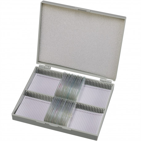 Prepared Slides 50 pcs. Box BRESSER
