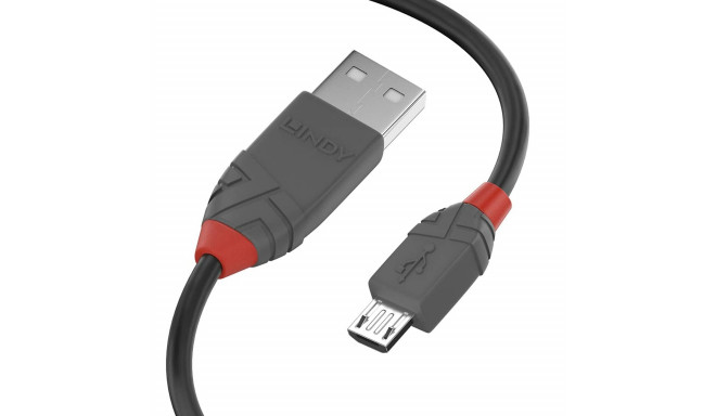 USB Cable LINDY 36734 Black 3 m (1 Unit)