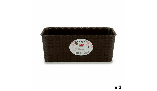 Istutuskast Stefanplast Plastmass 13 x 11 x 28,5 cm (12 Ühikut)