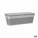 Устройство для посева с автополивом Stefanplast Cloe Серый Пластик 49,5 x 17 x 19 cm (12 штук)
