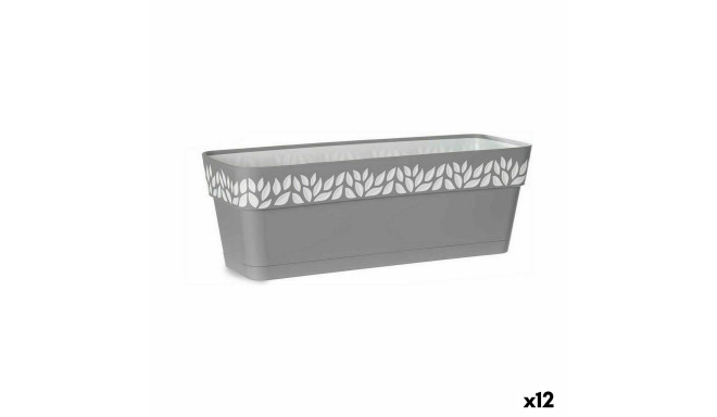 Istutuskast Stefanplast 94413 Cloe Hall Plastmass 49,5 x 17 x 19 cm (12 Ühikut)