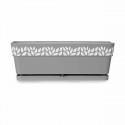 Устройство для посева с автополивом Stefanplast Cloe Серый Пластик 49,5 x 17 x 19 cm (12 штук)