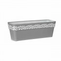 Устройство для посева с автополивом Stefanplast Cloe Серый Пластик 49,5 x 17 x 19 cm (12 штук)