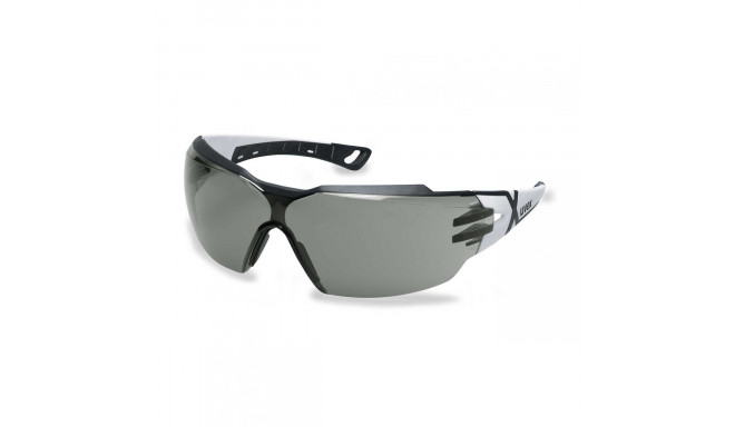 Apsauginiai akiniai Uvex Pheos CX2 su pilku panoraminiu lęšiu