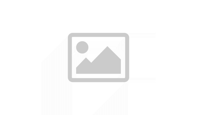 Dell monitor 27" S2721DS