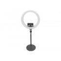 DIGITUS LED Ring Light 10inch Desk