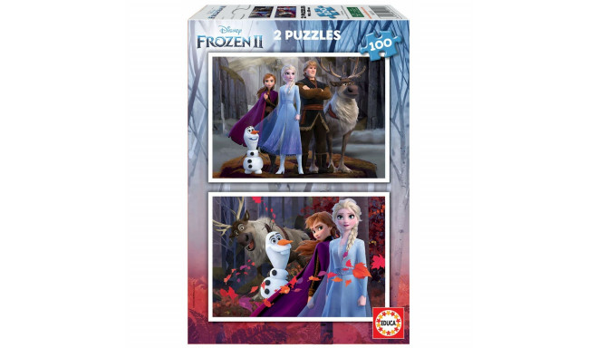 2-Puzzle Set   Frozen Believe         40 x 28 cm 100 Pieces