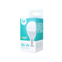 Forever Light LED pirn E14 G45 10W 230V 3000K 900lm
