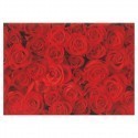 Herlitz Pa.paber 2m Red Roses