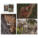 Ambassador Wildlife Families 3x 1000 Pieces (Donal Boyd)