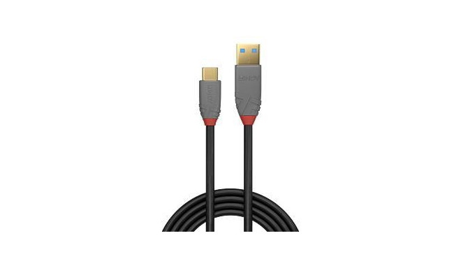 CABLE USB3.2 A-C 0.5M/ANTHRA 36910 LINDY