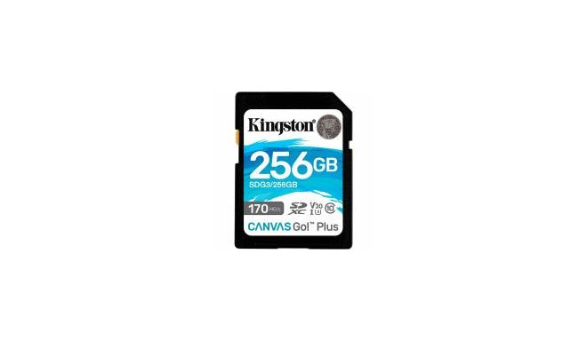 Kingston mälukaart SDXC 256GB UHS-I/SDG3/256GB