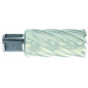 Kroonpuur Ø23X80X50 mm, HSS, pikk seeria. Kinnitus Ø19 mm, Weldon. Haljas