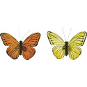 Liblikas, metallklambriga 7x9cm, 2tk. pakis, kollane, Heyda