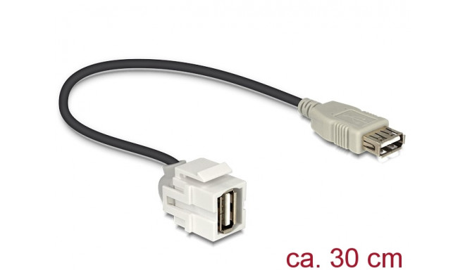 Keystone moodul: USB 2.0 A F / F, 250° nurgaga, kaabli pikkus 22cm, valge