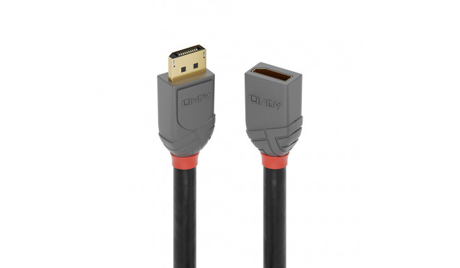 DisplayPort pikenduskaabel 3.0m, Anthra Line
