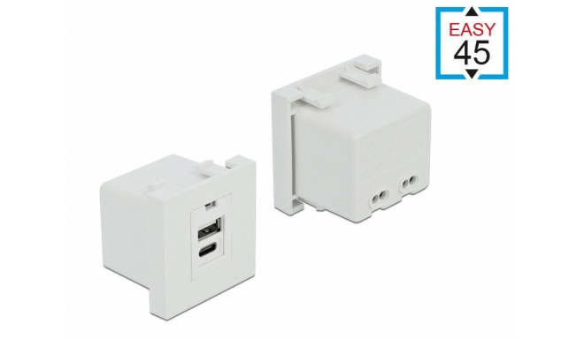 Delock Easy 45 USB Charging Port Module 1 x Type-A + 1 x USB Type-C™