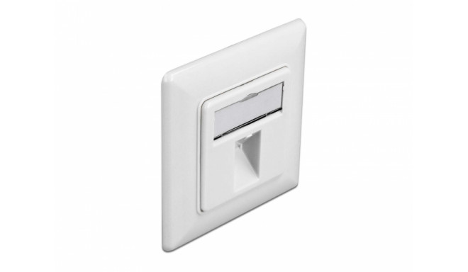 Delock Keystone Wall Outlet 1 port