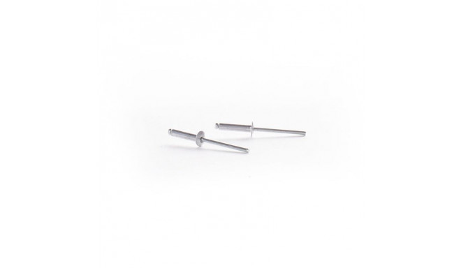 ALU-STEEL kuplikujuline neet 4,8x10 mm 50 tk