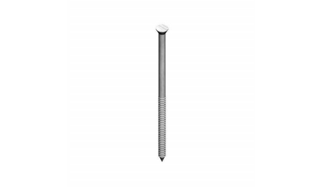 STRIP NAIL 25X1.4 MESSING LATENT HEAD100