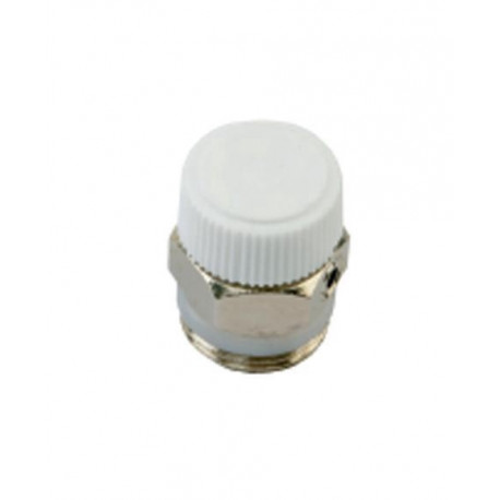 VALVE AIR RELEASE 1176T 1/4IN (10)