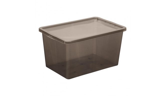 COLOR BOX20L TRANSLUCENT GREY - Ladustuskarbid - Photopoint