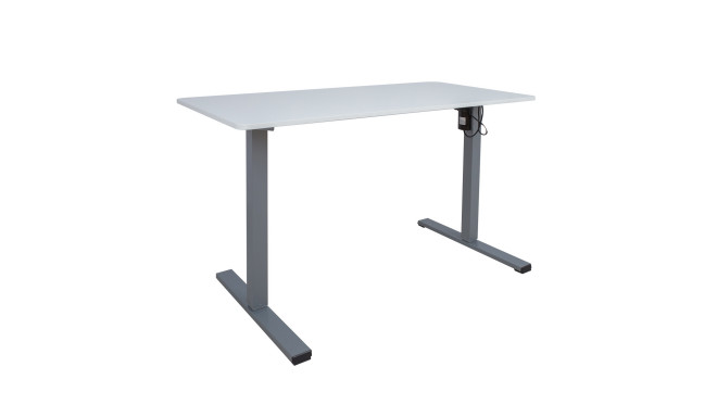 Desk ERGO OPTIMAL with 1 motor 120x60cm, white/grey