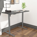 Desk ERGO OPTIMAL with 1 motor 120x60cm, black/grey