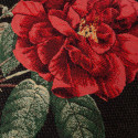 Padi HOLLY ROSE, 45x45cm, elegantne roos/must, 50%puuvill, 50%polüester, kangas-331/289.
