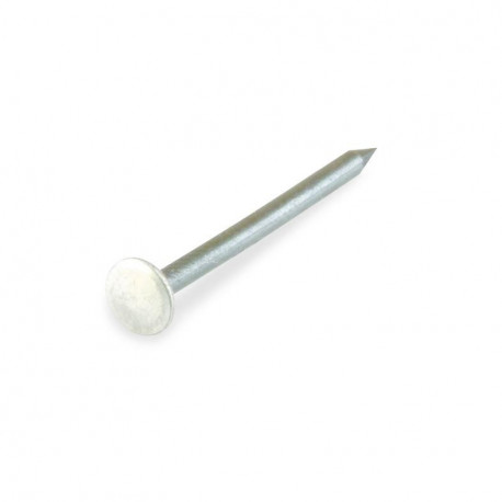 ST.NAIL 2,0X30 BLUED/HARD TIN HEAD/20PCS