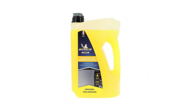 Antifriis Michelin IMP009214 4 L