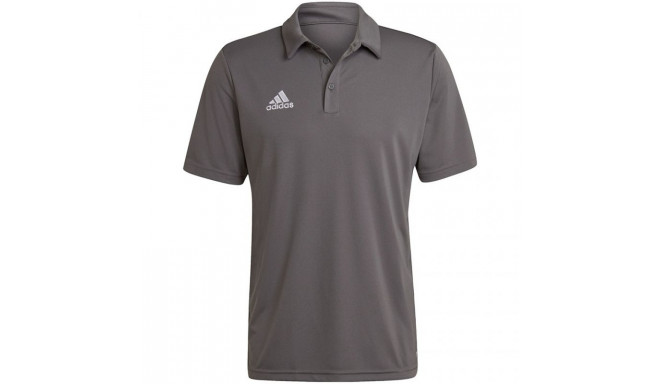 Adidas Entrada 22 Polo Shirt M H57486 (XS)